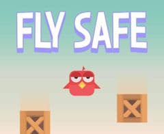 Fly Safe